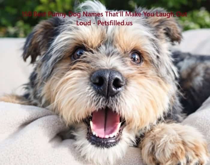 Playful dog for pun-inspired name ideas