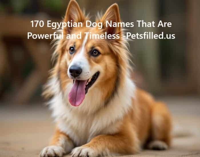170 Egyptian Dog Names That Are Powerful and Timeless