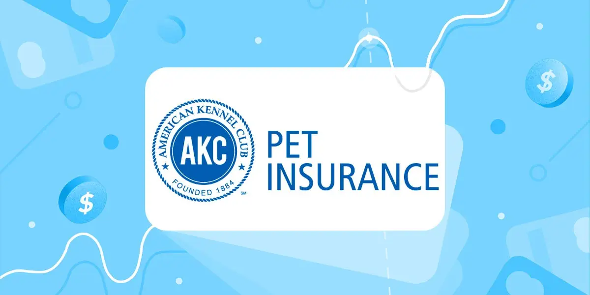 Dog and cat with medical symbols representing pet insurance protection