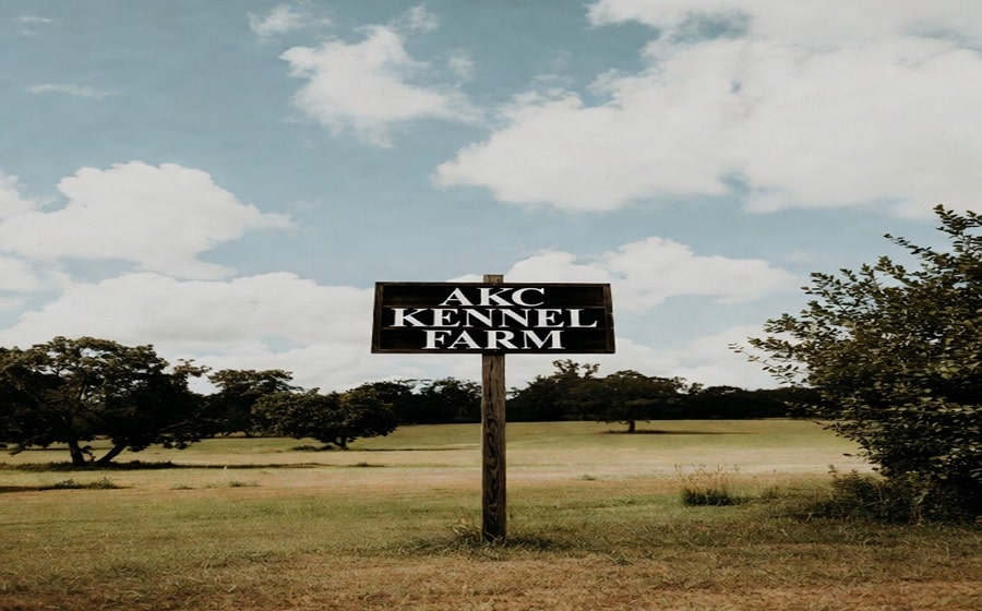 12 Best AKC Kennel Farm Locations 2025: Trusted Purebred Breeders