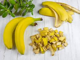 Small piece of banana prepared as an occasional hamster treat