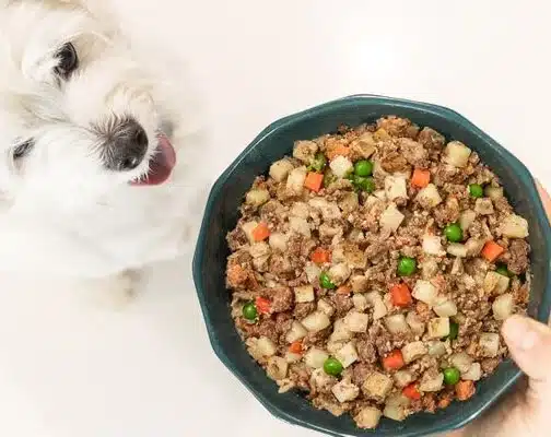 Dog-safe food ingredients prepared for an enrichment toy