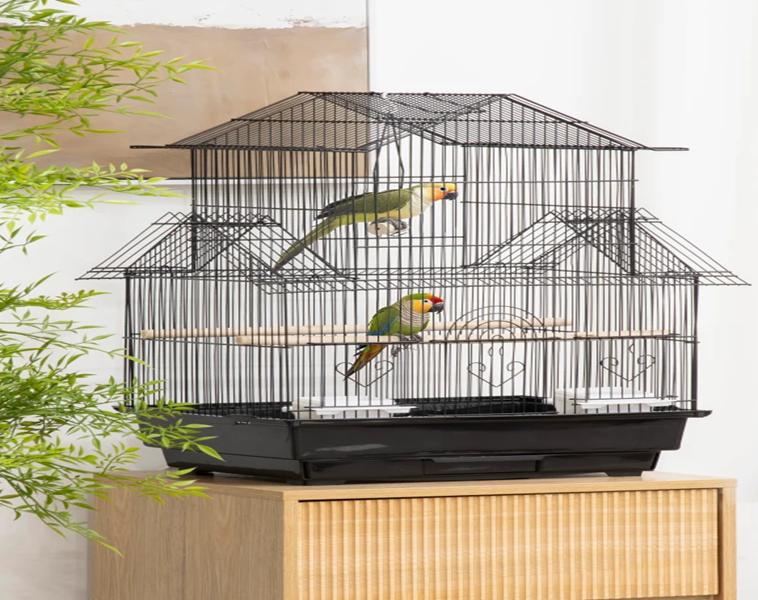 Companion bird cage placed in a bright, calm household room
