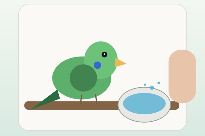 Illustration of a companion bird beside a water dish while increased drinking is monitored