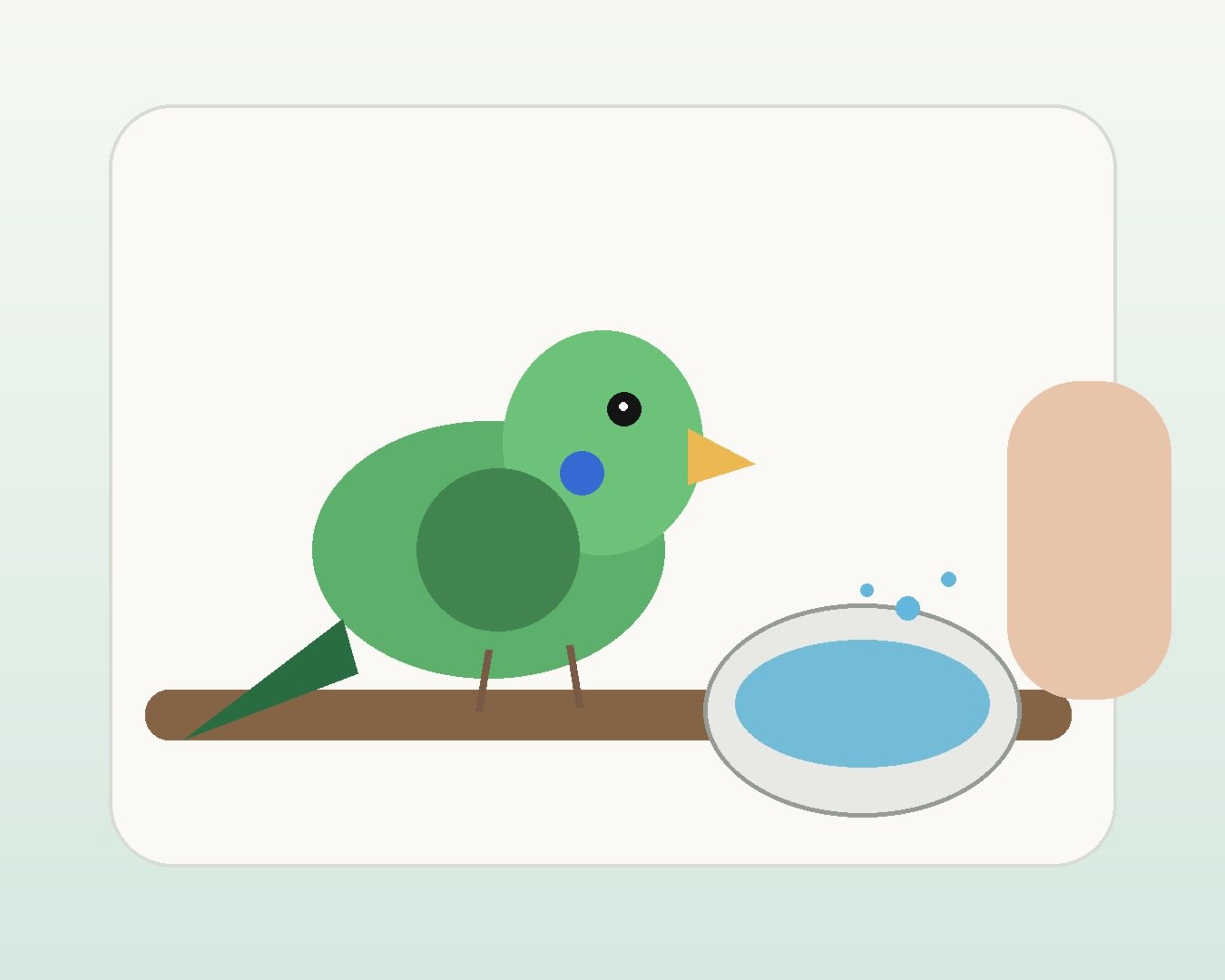 Illustration of a companion bird beside a water dish while increased drinking is monitored
