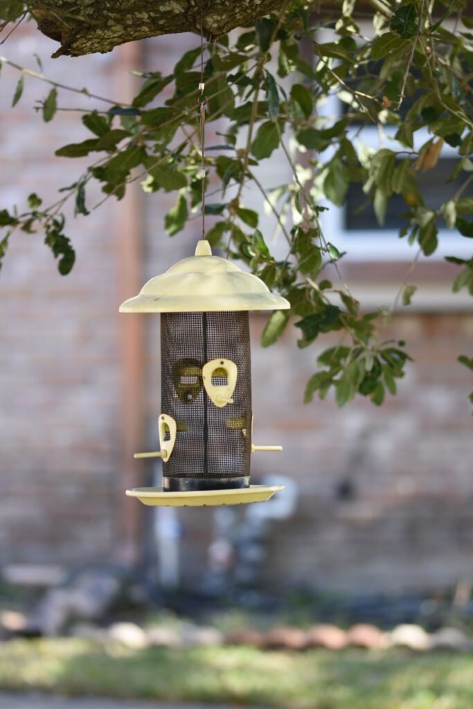 Hanging bird feeder positioned in a sheltered garden area