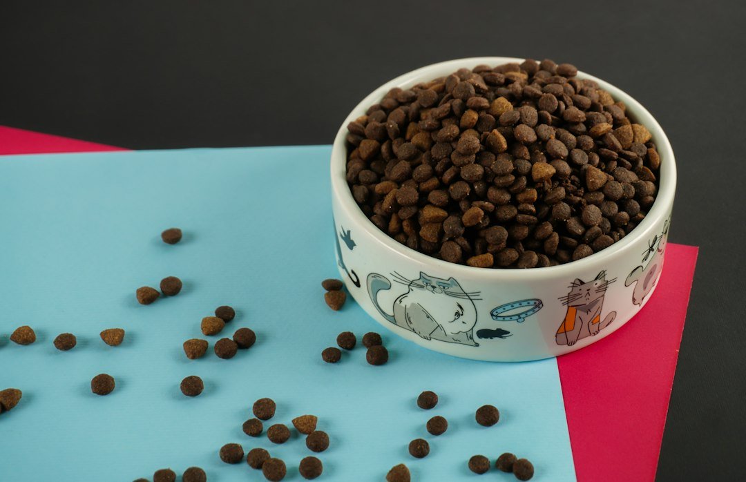 Dog food dish used to compare portion size and cost per day