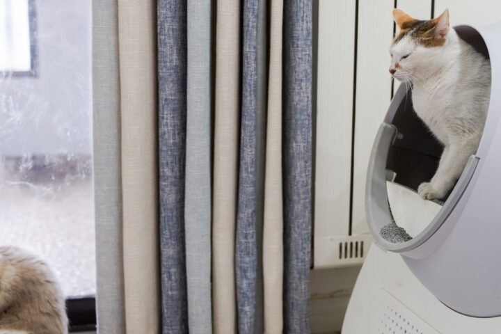 Two cats relaxing near a litter box in a clean indoor home