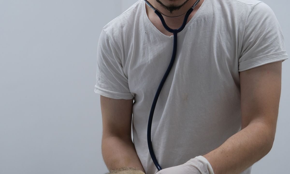 Veterinarian examining a cat with a stethoscope in a clinic