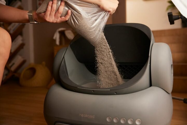 Cat litter being poured into a clean litter box