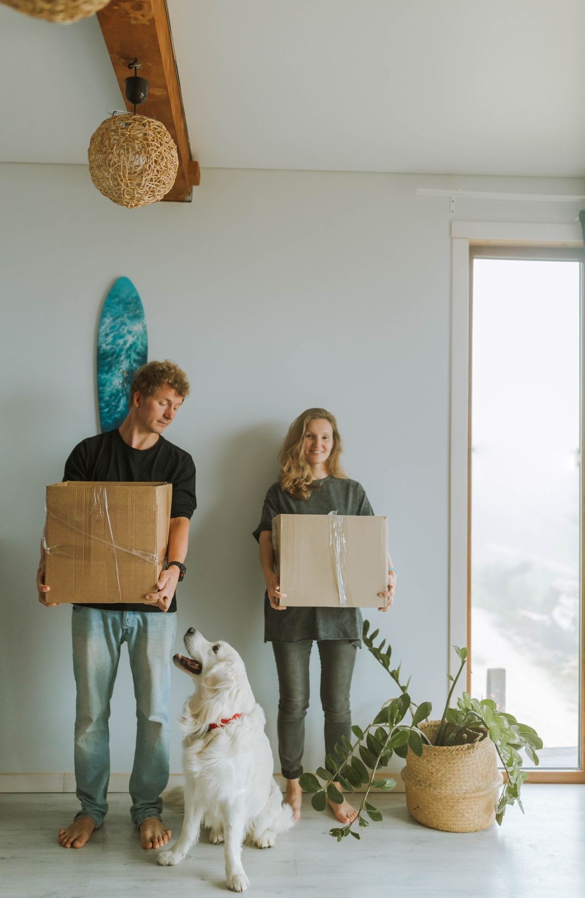 Dog standing with owners and moving boxes while adjusting to a new home