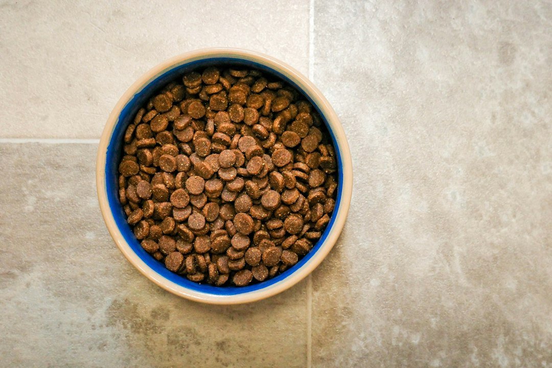Dog food in a bowl for comparing pet food labels and manufacturers