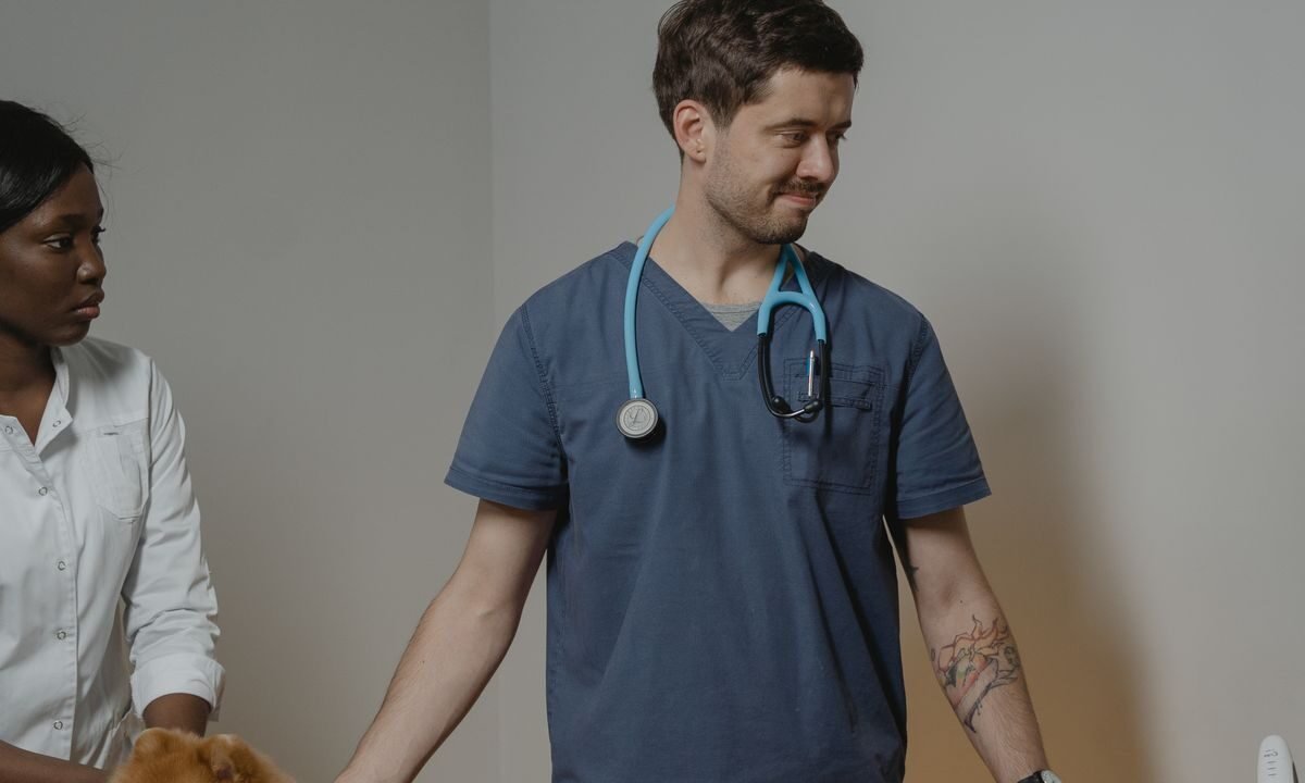 Veterinarian performing an ultrasound examination on a dog