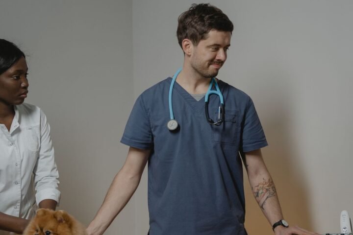 Veterinarian performing an ultrasound examination on a dog