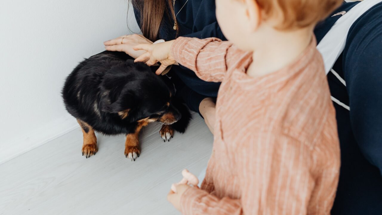 Young child gently meeting a family dog with an adult supervising