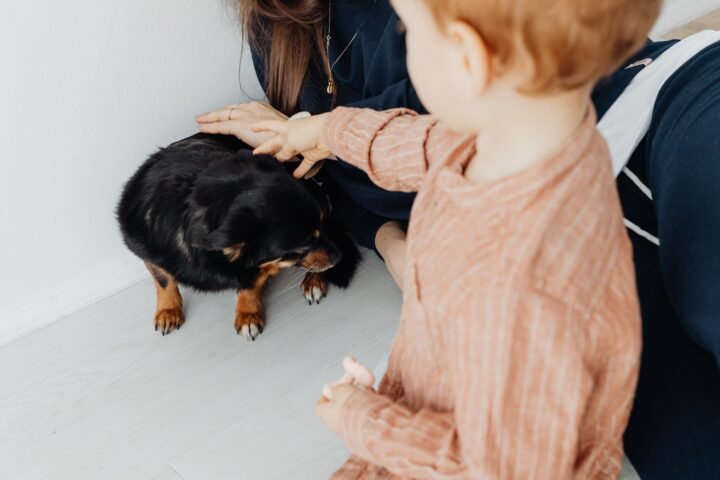 Young child gently meeting a family dog with an adult supervising