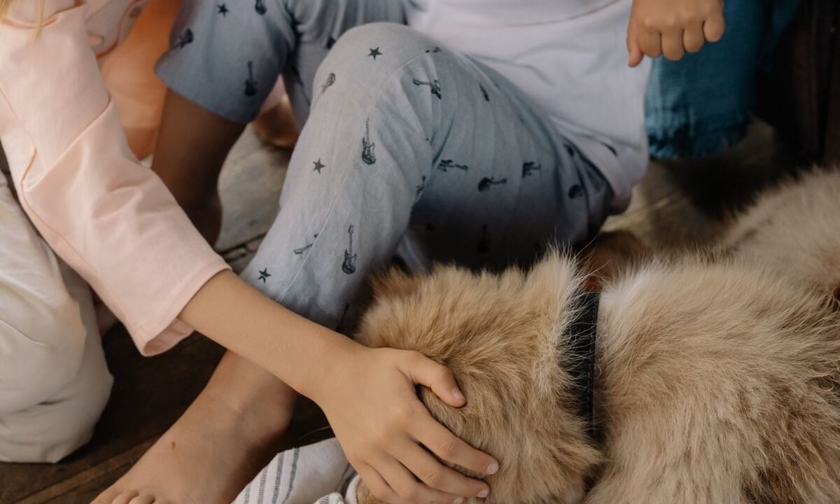 Two children sitting calmly and gently interacting with a family dog indoors