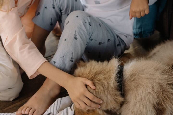Two children sitting calmly and gently interacting with a family dog indoors