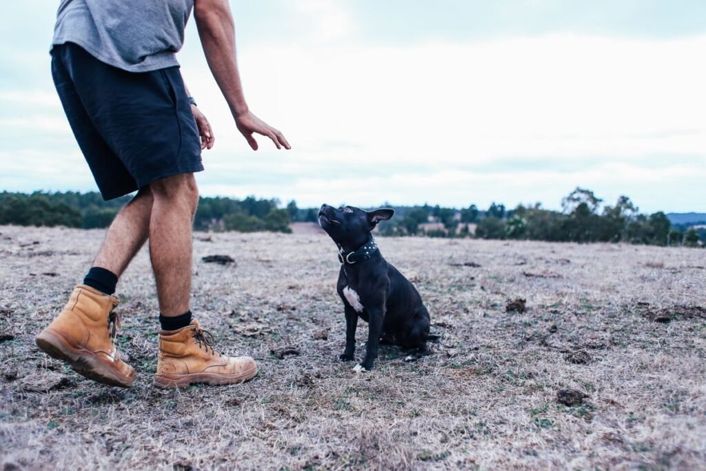 Person calmly training a dog outdoors to build trust and confidence