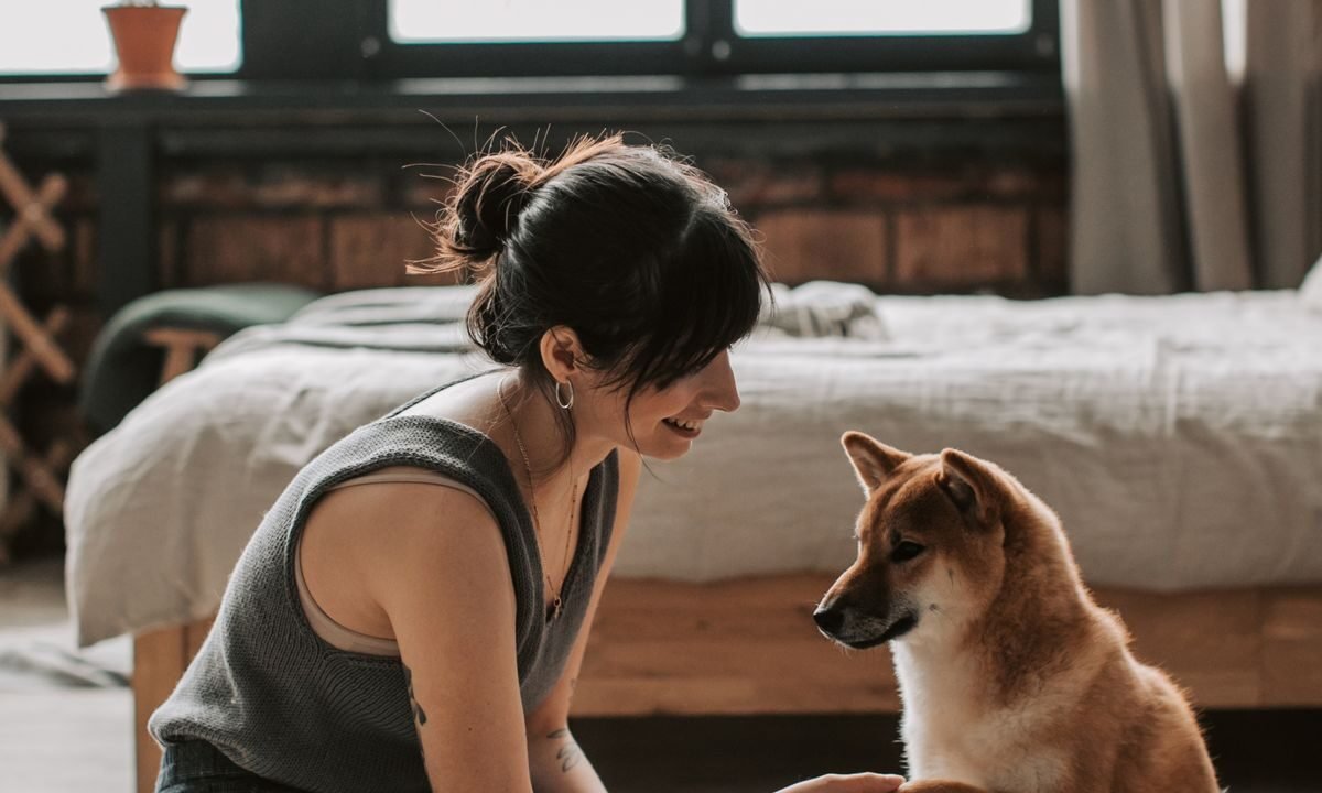 Shy dog interacting calmly with its owner during confidence-building training