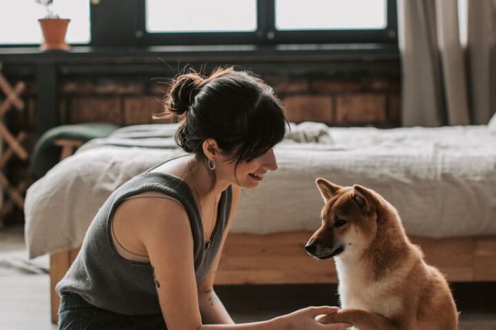 Shy dog interacting calmly with its owner during confidence-building training