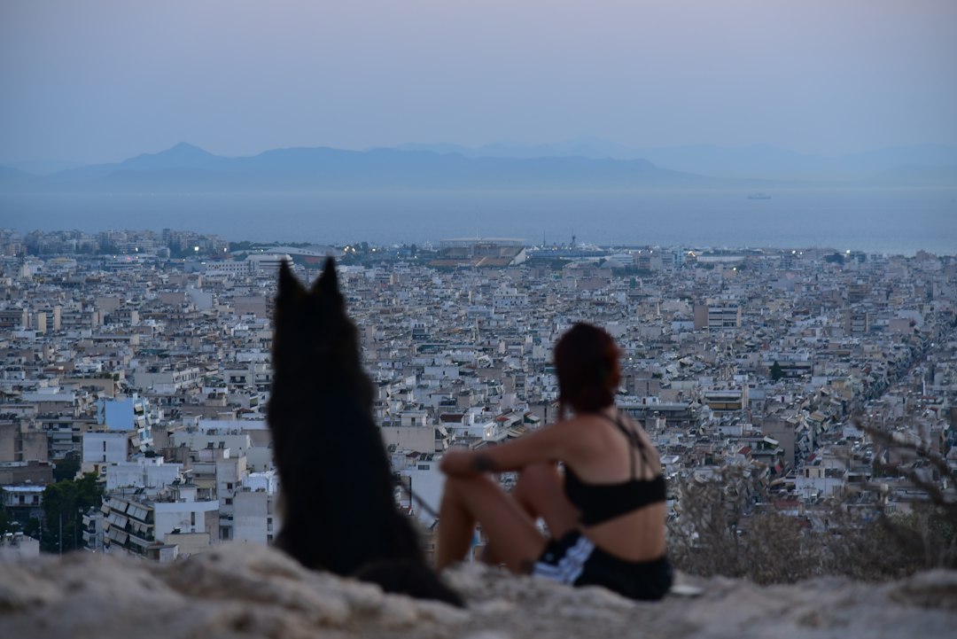 Dog in a Greek outdoor setting for Greek dog name inspiration